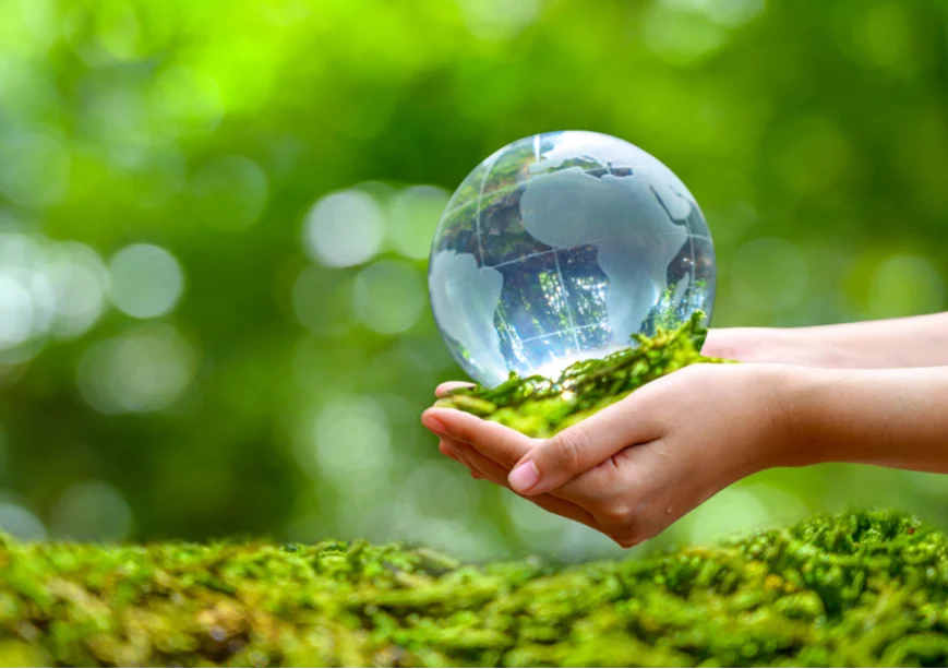 SDG 13
